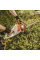 Кусторез электрический STIHL HSE 52
