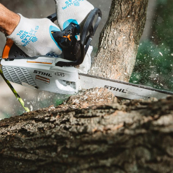 Бензопила STIHL MS 194 T